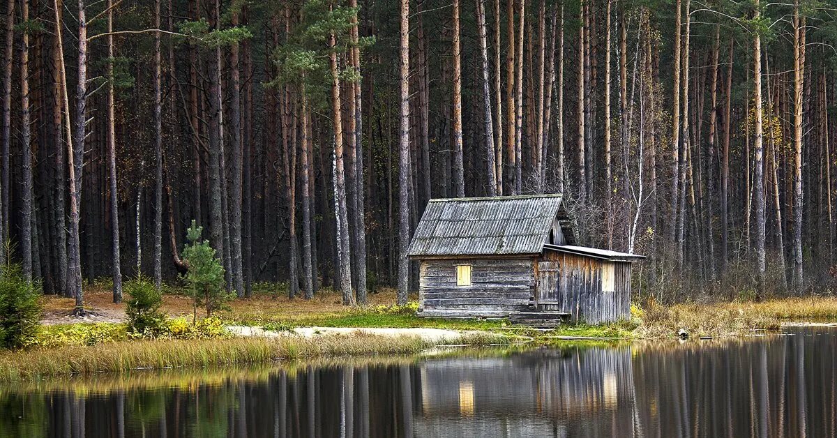 Лесная избушка ленинградская область. Изба в тайге Карелии. Таежная Заимка Карелия. Боровецкий лес дом отшельника.