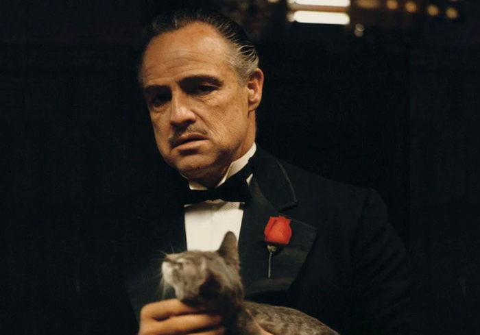 ������ ��������� ������� � ����