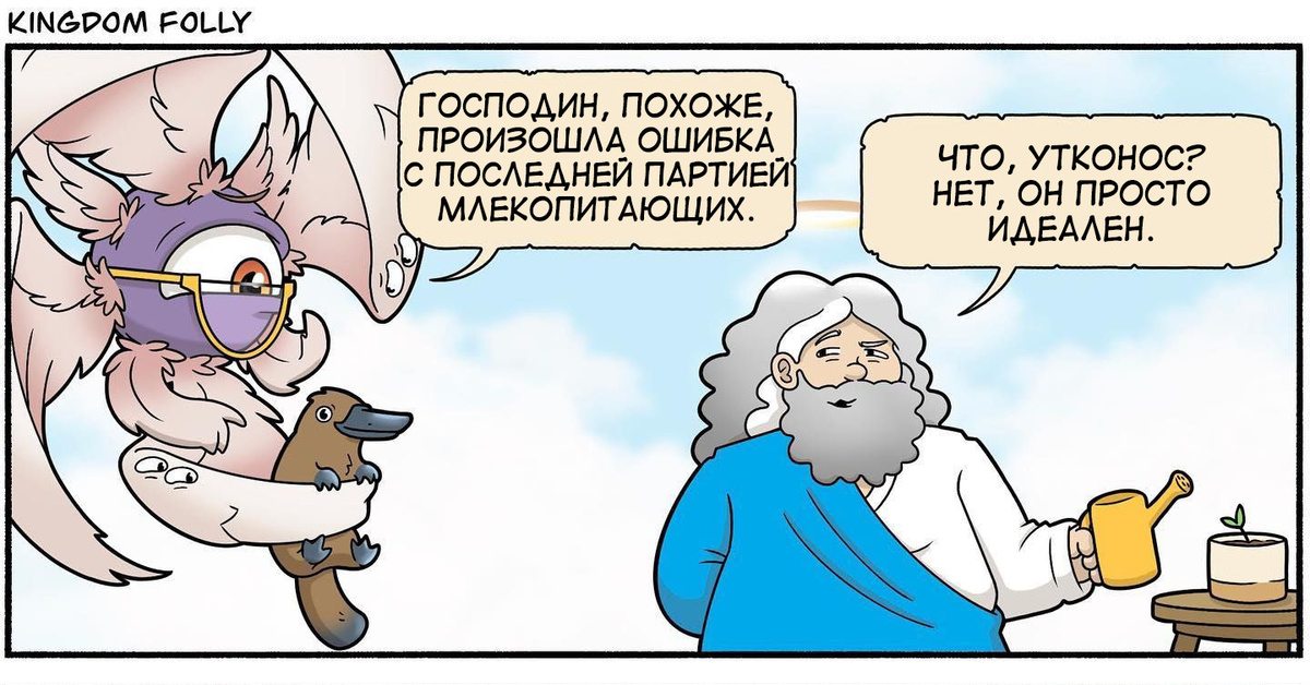 Утконос | Пикабу