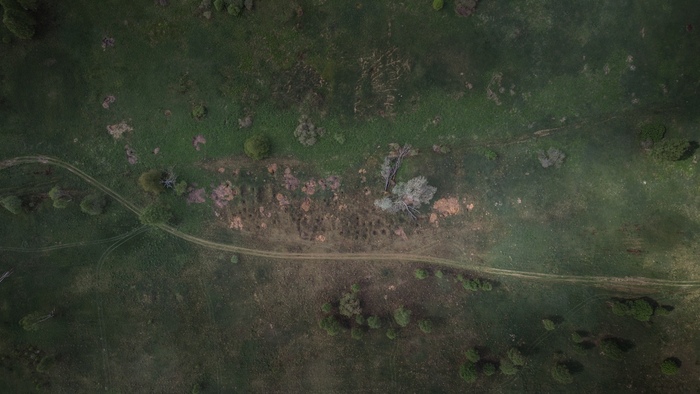 �� ���� ����� ������ ������, ��� ���� �� ���� � ��� �������.