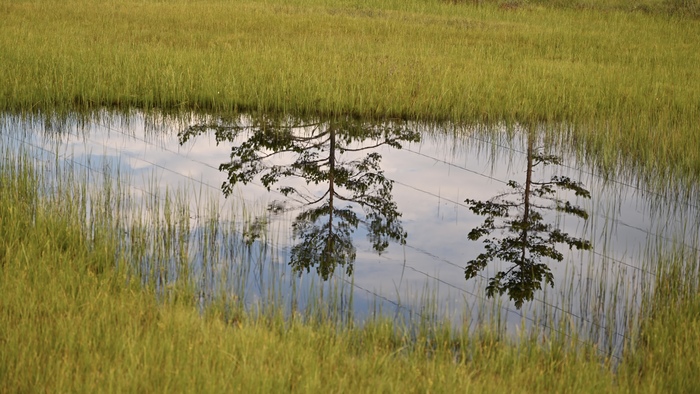 Байкальский государственный заповедник.