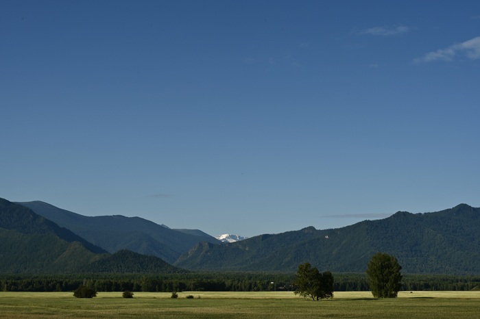 Уймонская долина, Алтай. Виднеется скорее всего Белуха.