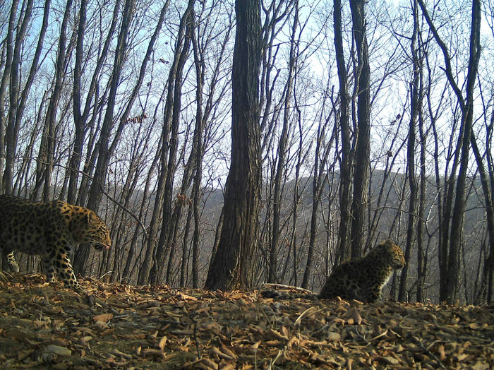 ������� ������� ����� �� ����� ����������� � 2020 ����. ����� �� ��� ��� ������� � ������������ �� ����������� ������ �������� ������ � �����-���������