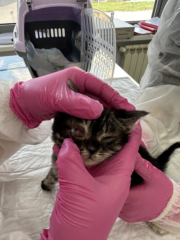 ��� ��������� ������ ������, ����� ��� �����.