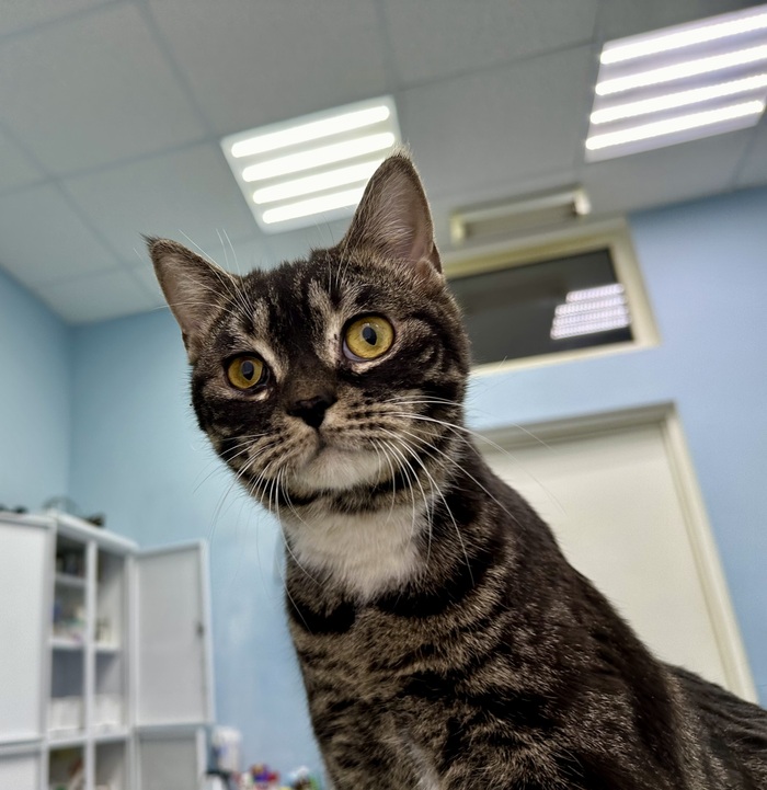 ��� ���� �����??�