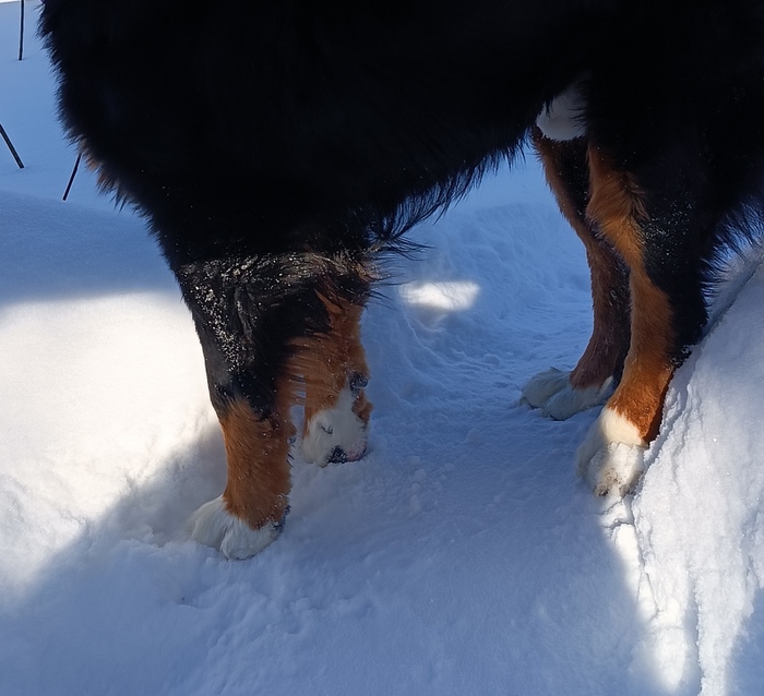 После стрижки