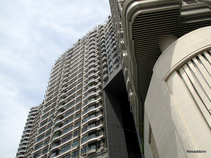 Местные Патрики