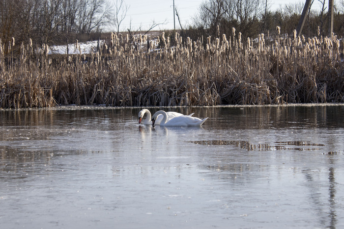 Canon 200D - ƒ/5.6 | 1/500 | 55mm | ISO 100