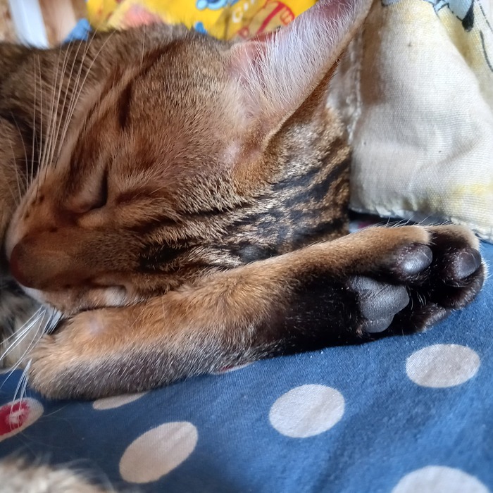 "����� ������ ����� ���������, ����� � ���������!"