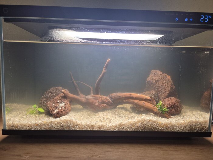 Через пару дней после "уборки", 10 числа