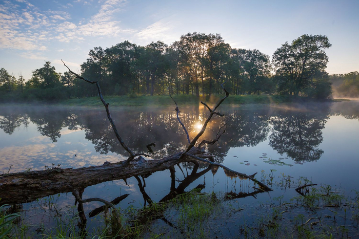 Полесские болота