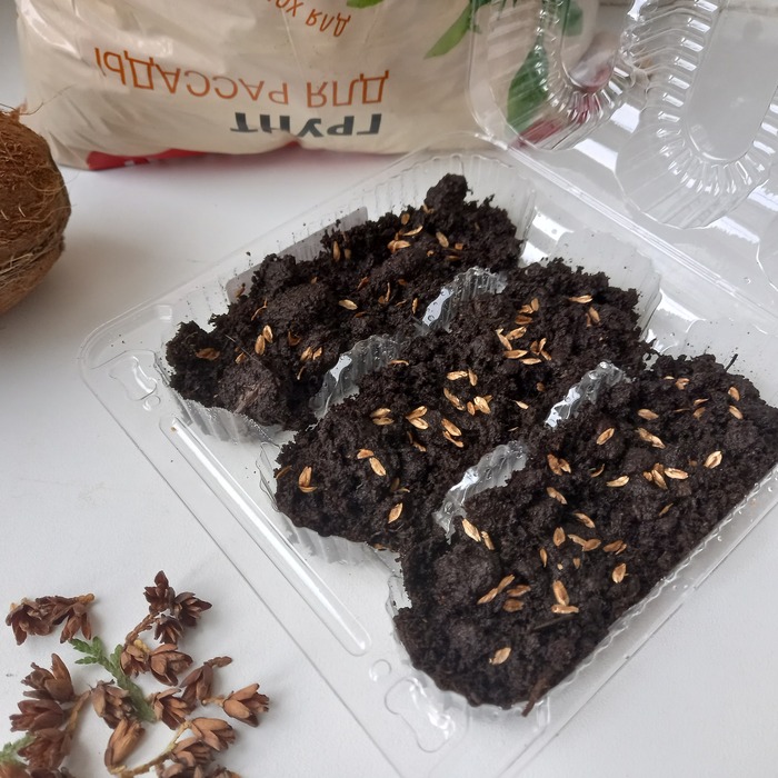 �� ��������. �� ������� - ��, �� �������. ����� ������, ��� ����� � ���������!