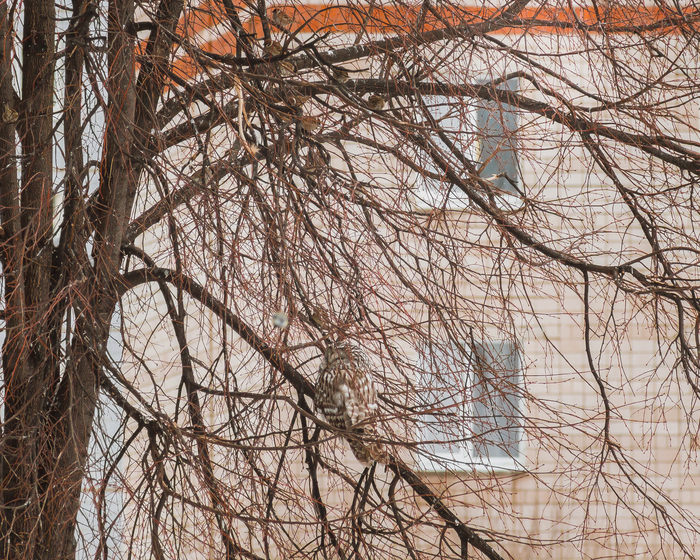 ���� � ����� ��������� UPD: ����� ���������