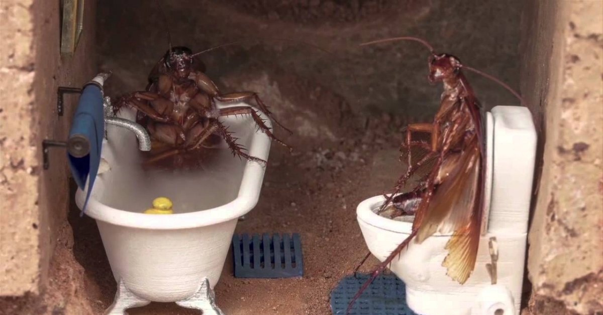 Где найти все амулеты в Hollow Knight и не сойти с ума? Полный гайд по скрытым локациям