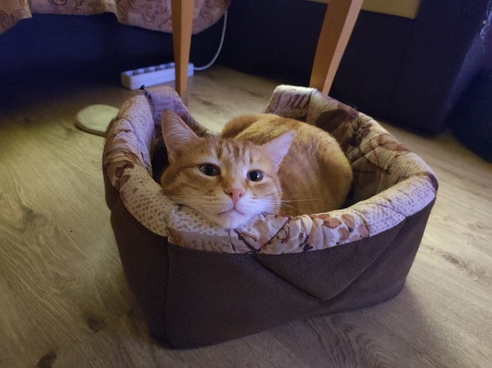 ������ � �������