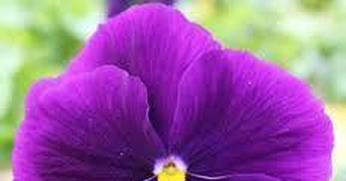 Нарнуха секс 720