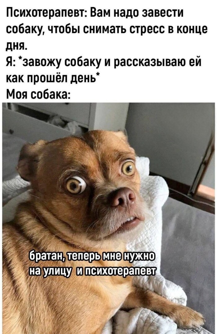  ,   , , 