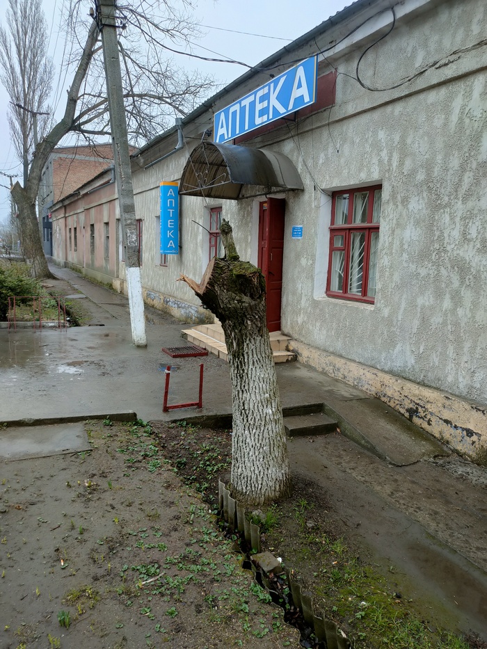 ��� ����� �� ����� � ��� ������ ��� ...