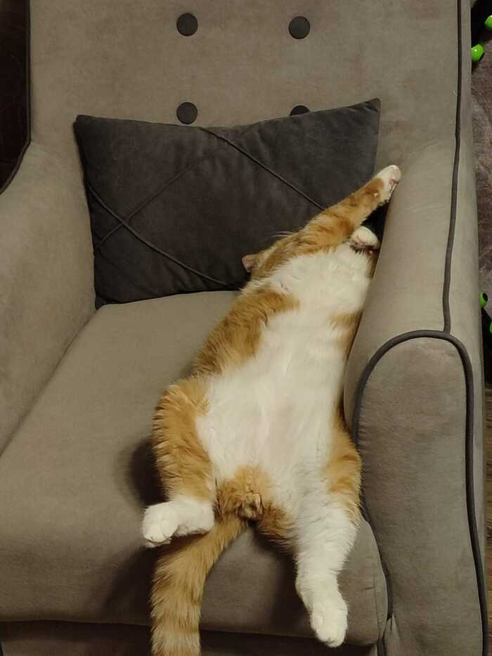      ,  , 