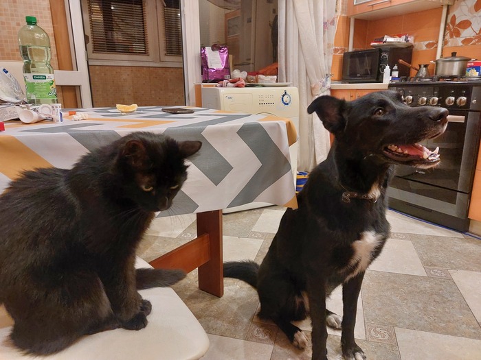 Что ж ты милая смотришь искоса низко голову наклоня