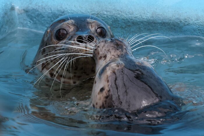 Фото Игоря Катина