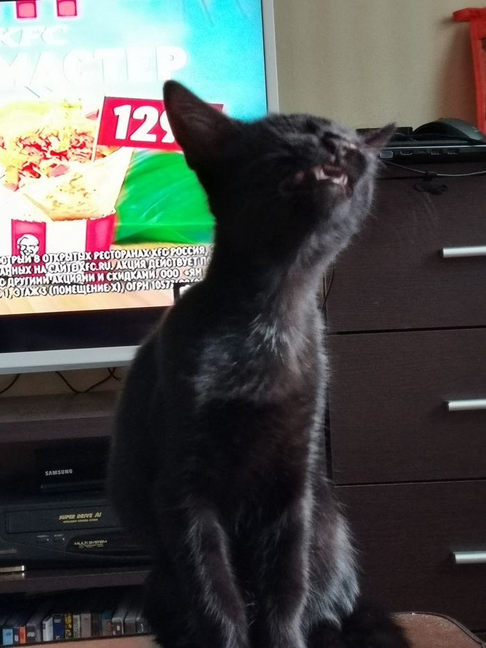 ����������� ������� �����