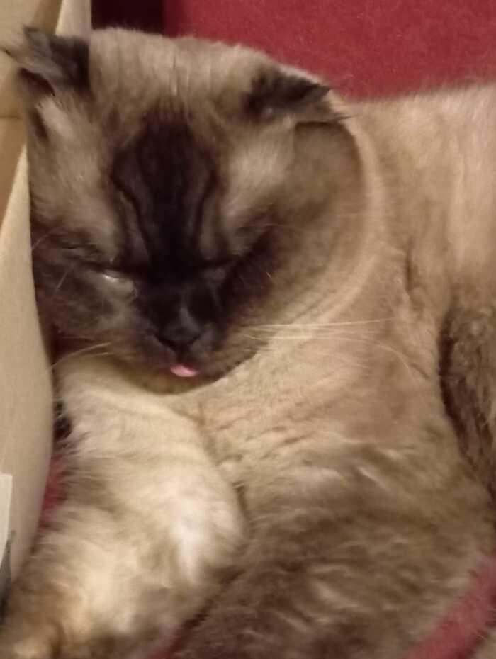 ������� ������ ��������