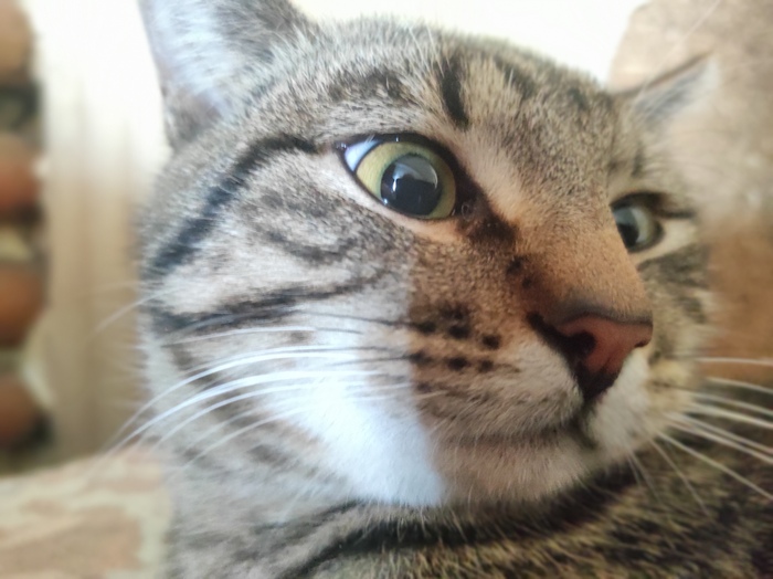       ,  ,  , , 