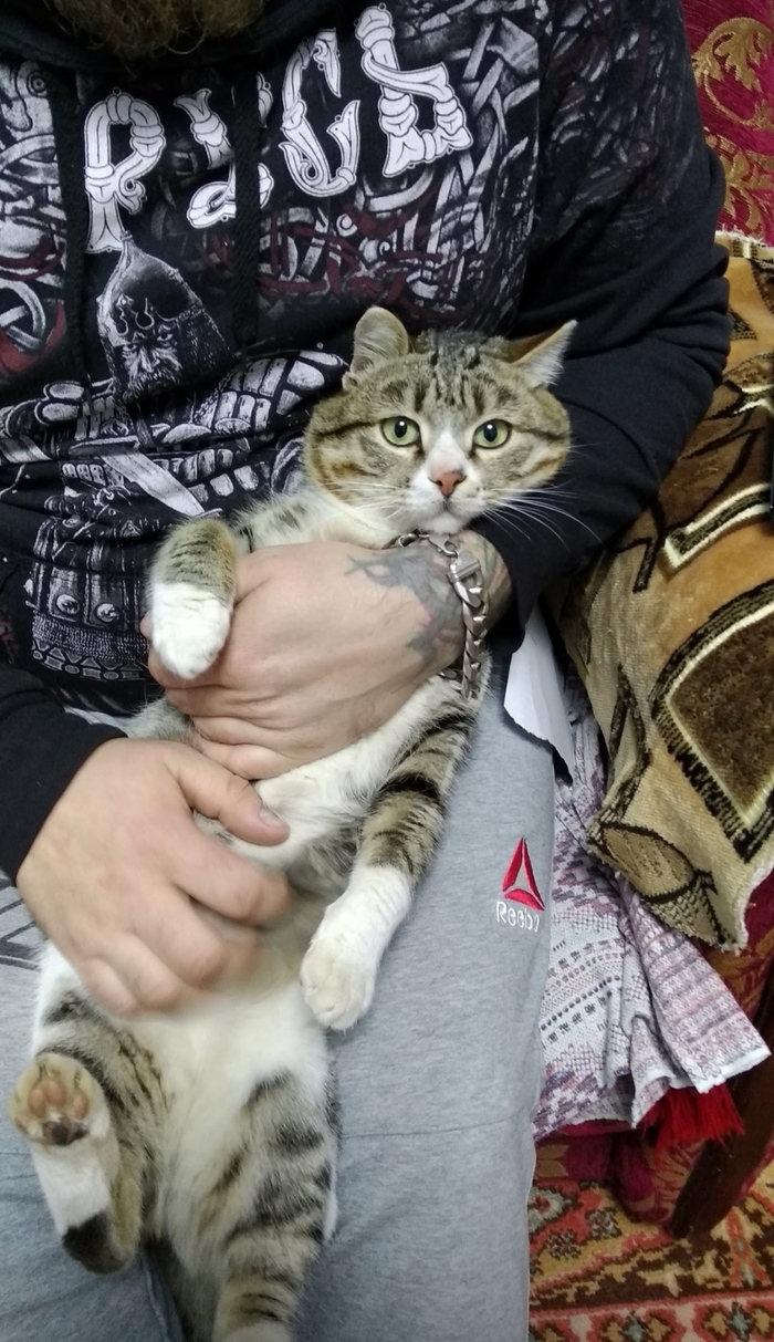 ����� ������ ��� �������