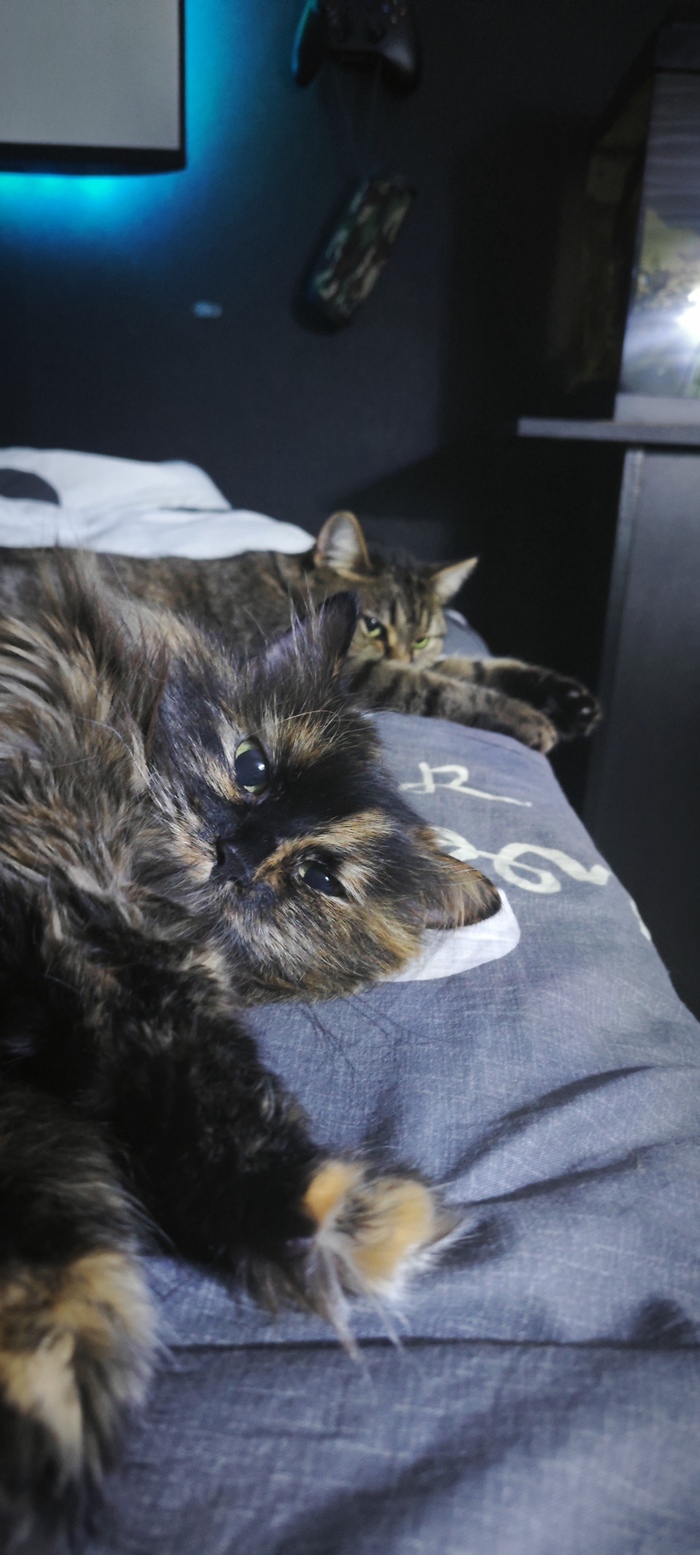 ����� � ���� ������)