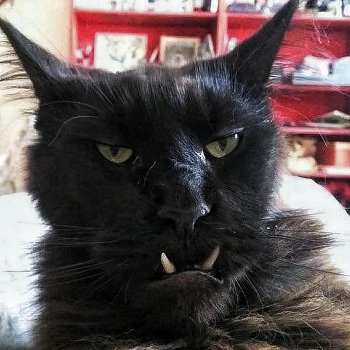 ������, � �� ������� �� ������!