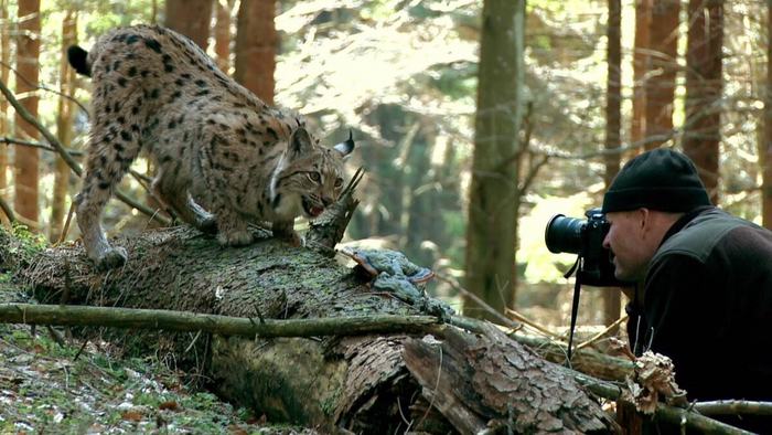 Давай я тебя сфоткаю, будто ты меня съесть хочешь?