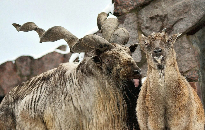 Первое свидание с сайта знакомств всегда выглядит примерно так.