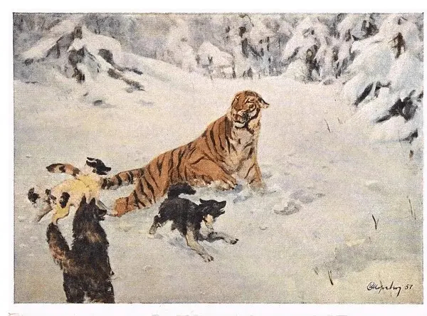Открытка с тигром и гончими.