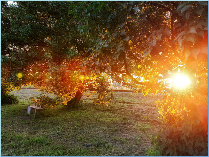 � ����� ������...