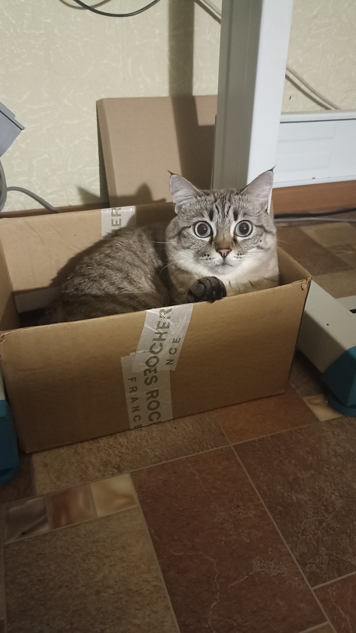 ������� �� �������