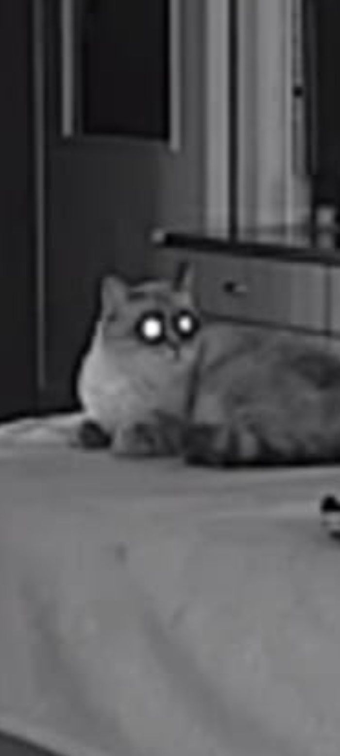 ��� ���������� ������� ������