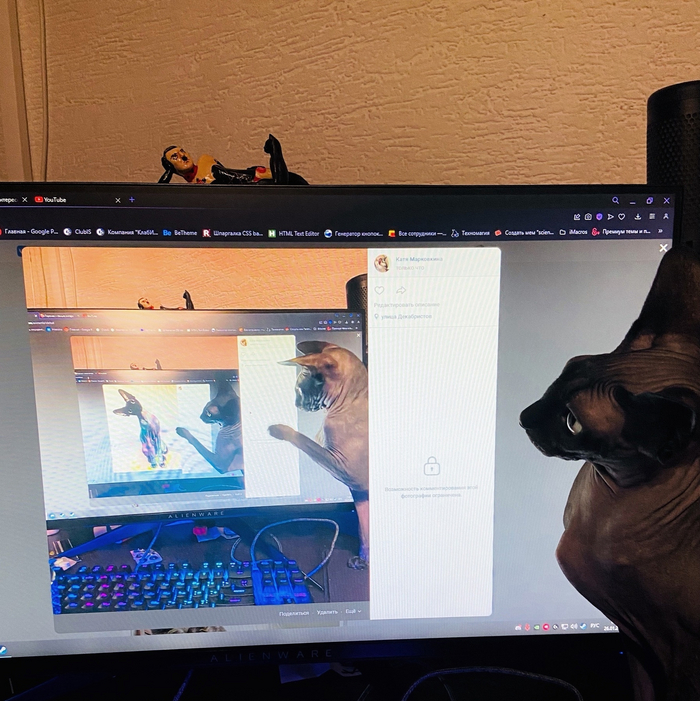 ��� ��� ������