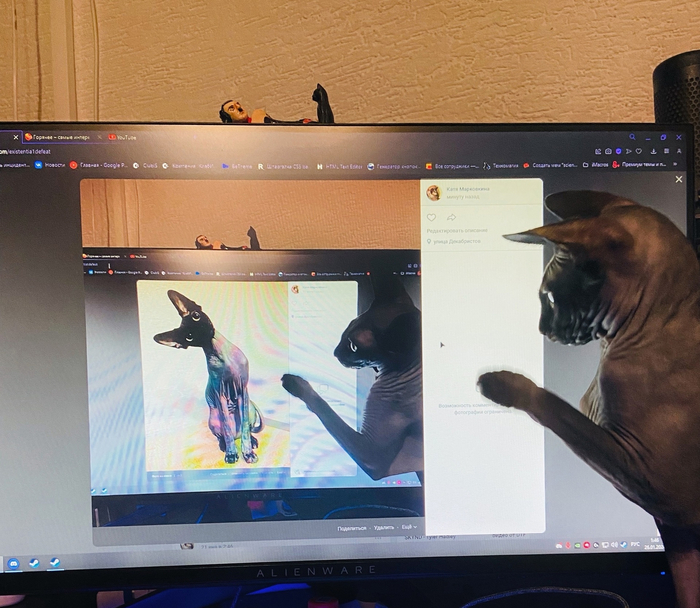 ����������, ���� � ���� �� ����, � ������