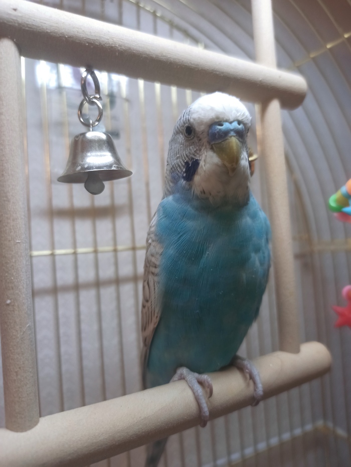 ��� ���� ��� ���