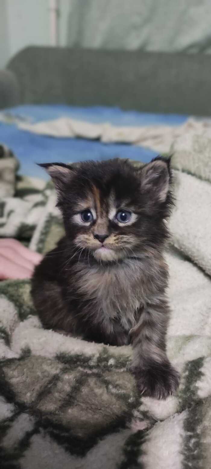 ����� � �����