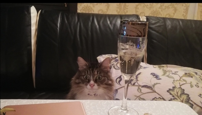 � ��� ���������� �������