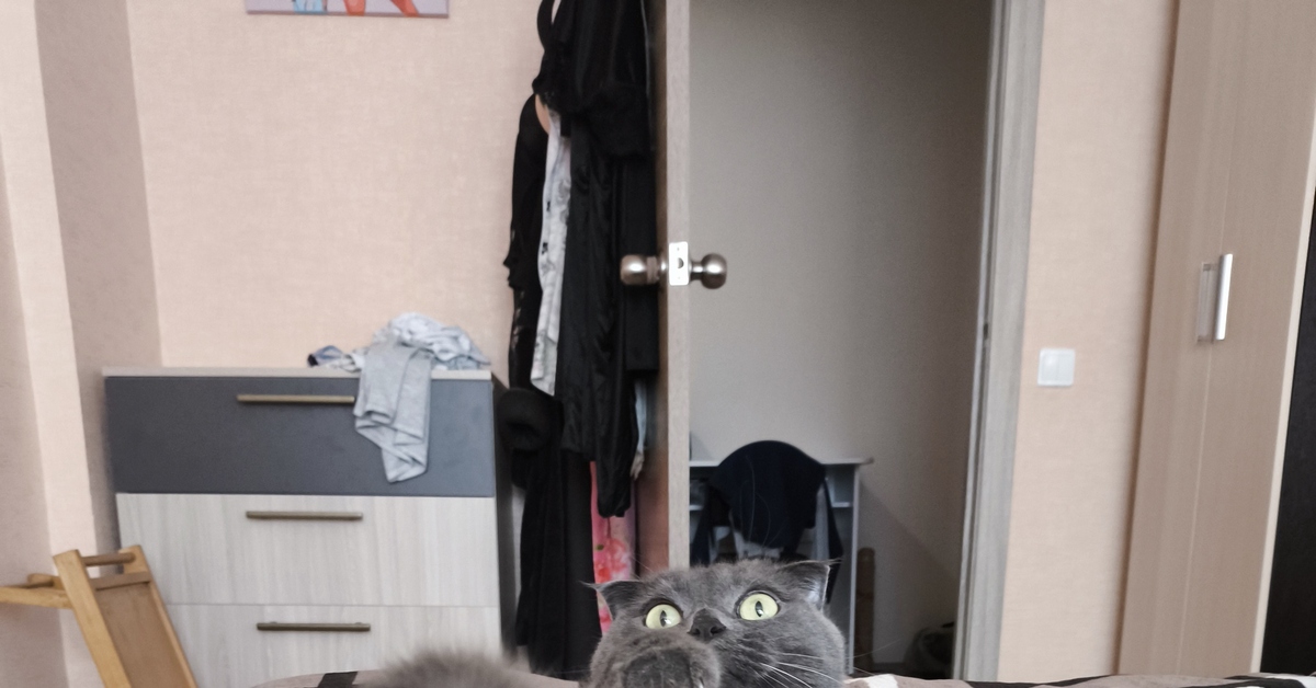 Кормухина кукушка