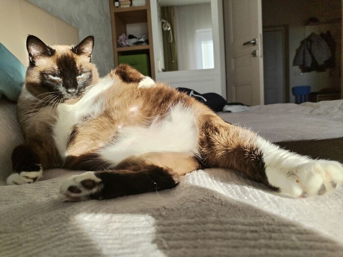 � � ��� ������ ���������� �����!