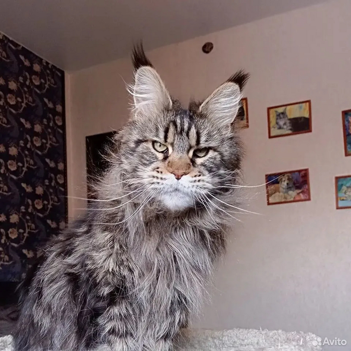 Всех убью, один останусь