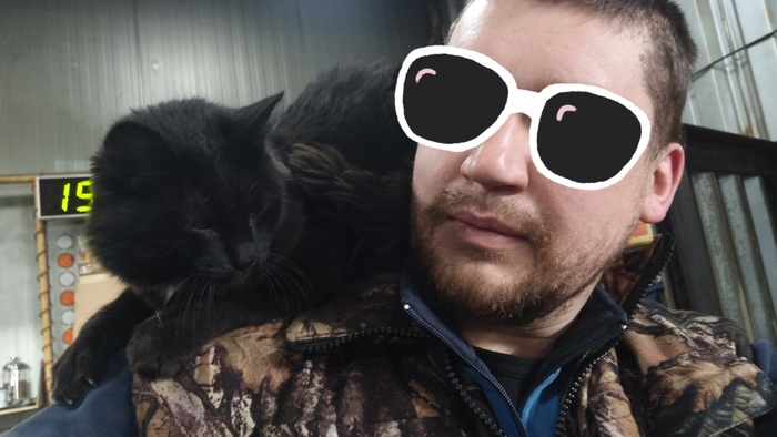 Иногда кот даже проявляет любовь и косплейт холодильник)