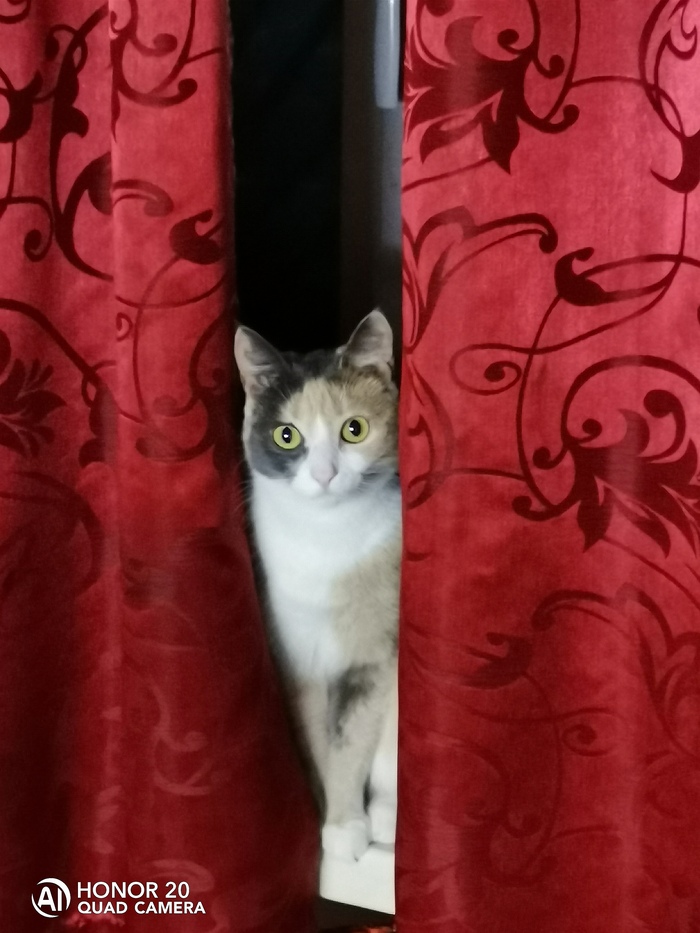       ,  ,  ,  