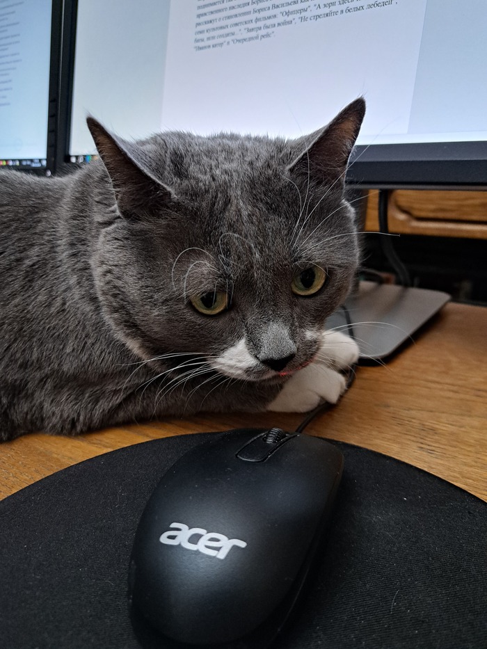 ?    ? :3