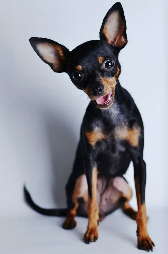 ��� ����� ��, ������ ����� �������