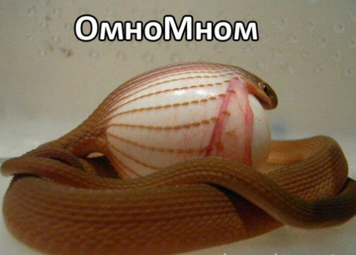 Приятного аппетита!